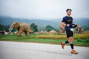 BIB: 
                            <button type="button" onclick="openModal(22407400)" class="btn btn-primary btn-sm float-right btn-popup" data-toggle="modal" data-target=".modal-high-quality">
                        <i class="fas fa-shopping-cart"></i> Add to Cart
                    </button>
                                            <button type="button" onclick="isThisMe(22407400, true)" class="btn btn-success btn-sm float-right btn-popup btn-isme hidden" data-toggle="tooltip" data-placement="bottom" title="นี่คือรูปของคุณใช่ไหม คลิกที่นี่เพื่อเอาเข้าอัลบั้ม">
                        <i class="fas fa-plus"></i> Add to album
                    </button>
                    <button type="button" onclick="isThisMe(22407400, false)" class="btn btn-warning btn-sm float-right btn-popup btn-isnotme hidden">
                        <i class="fas fa-ban"></i> Remove from album
                    </button>